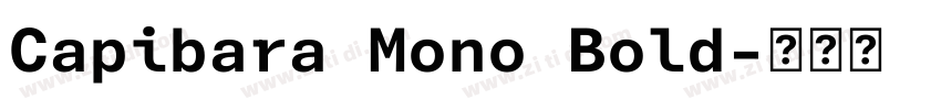 Capibara Mono Bold字体转换